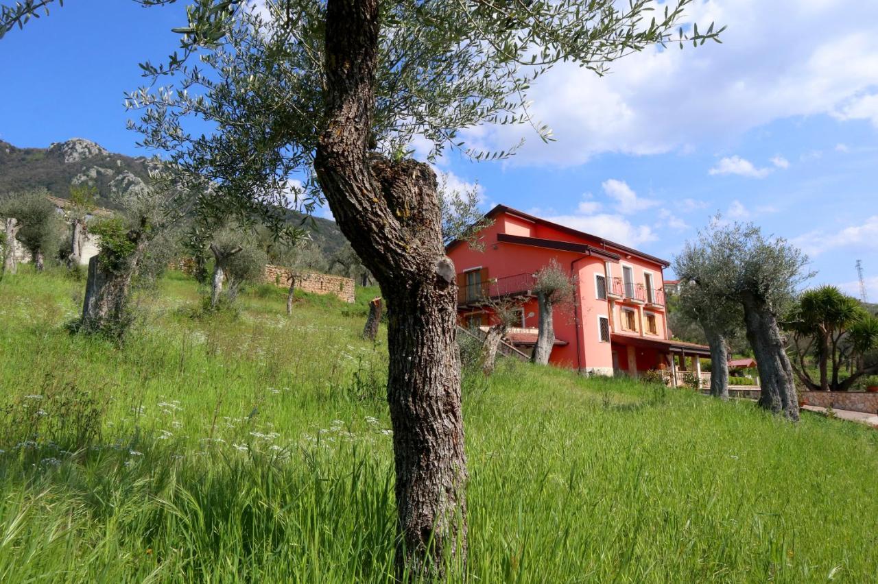 Controne B&B La Casa Del Sole المظهر الخارجي الصورة